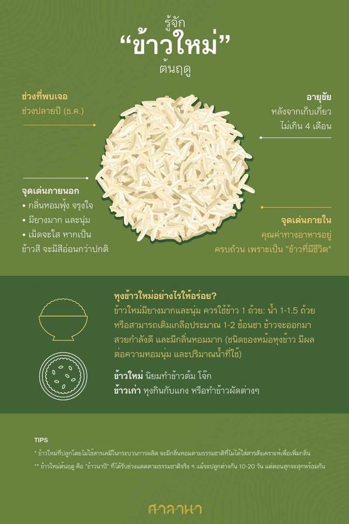 ข้าวใหม่ซ้อมมือหอมมะลิแดง (ออร์แกนิค 100%) 5 Kg