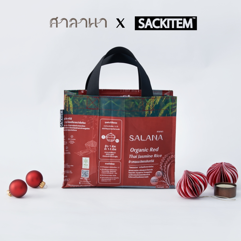 UPZIDE Carry BAG - red