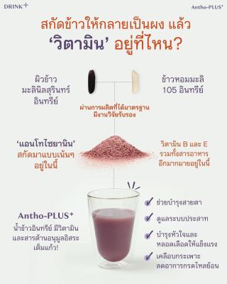 น้ำข้าวแอนโทพลัส (10 ซอง : กล่อง)